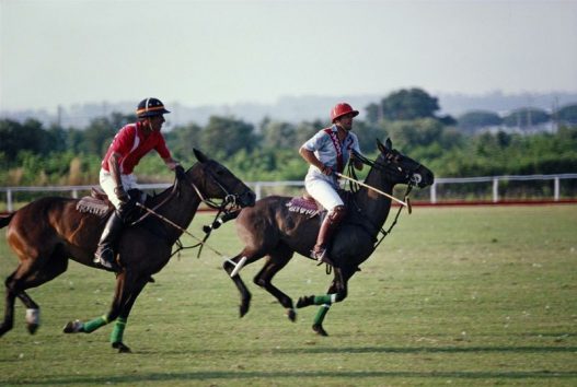 Polo In Italy