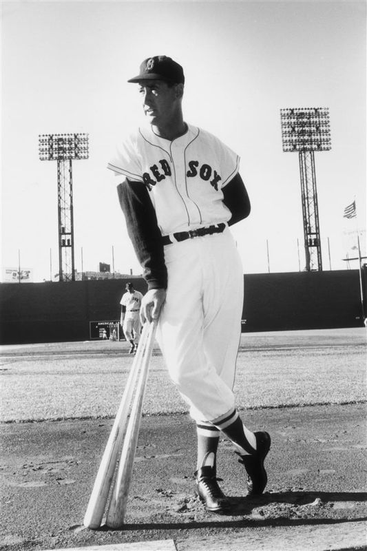 Ted Williams