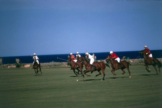 Polo By The Sea